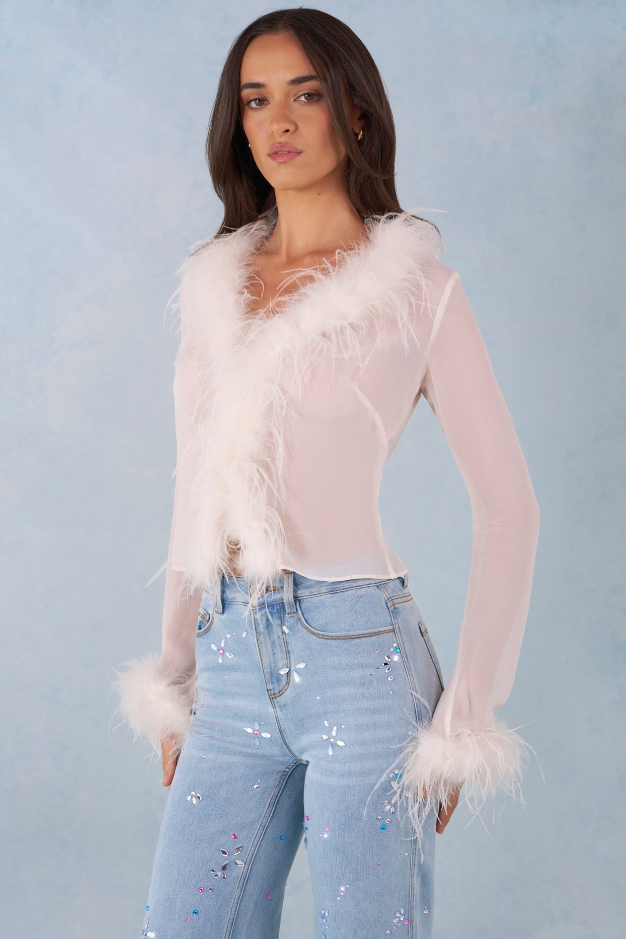 Faux Fur-Trim Sheer Top in Ivory