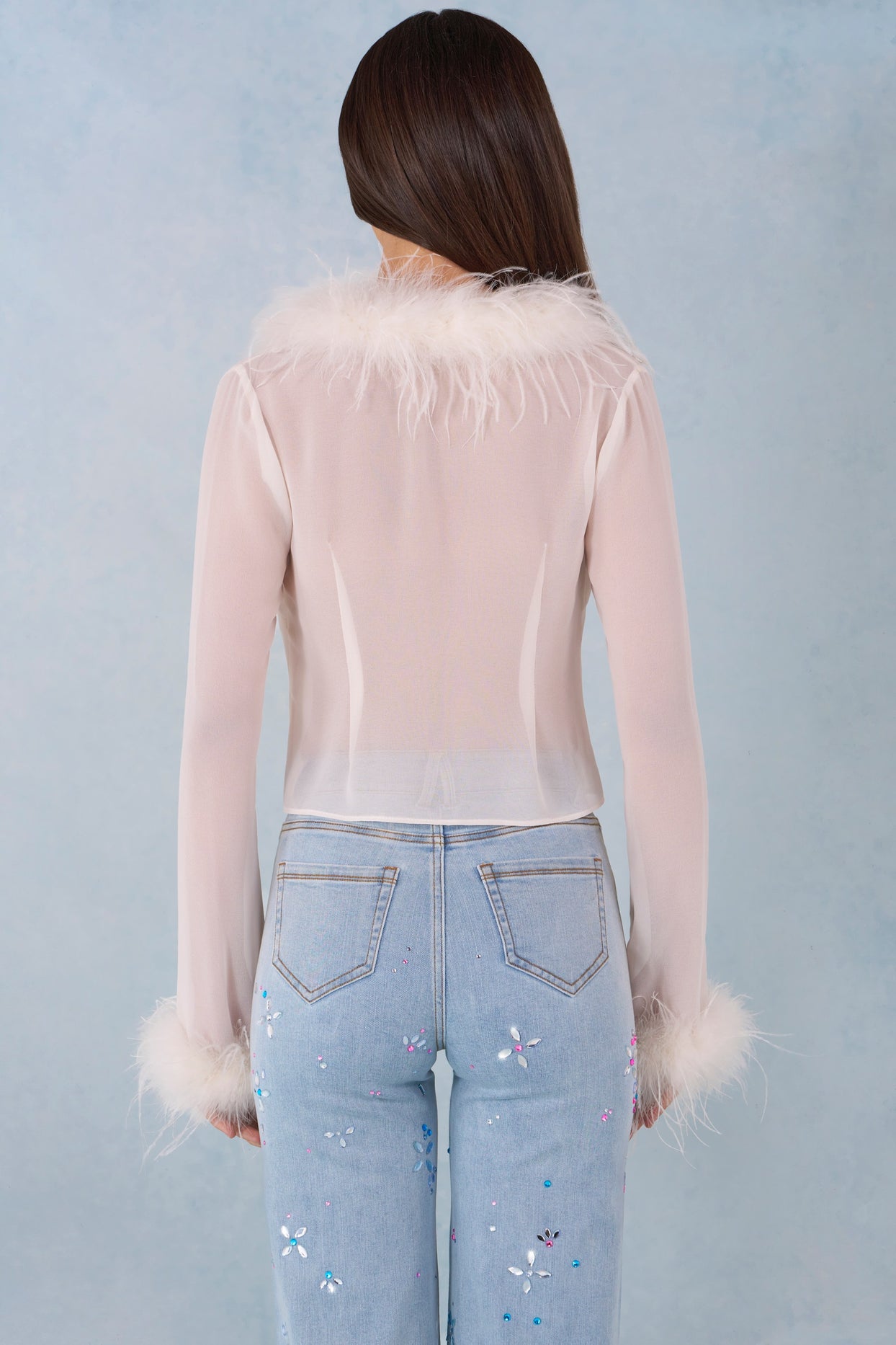 Faux Fur-Trim Sheer Top in Ivory