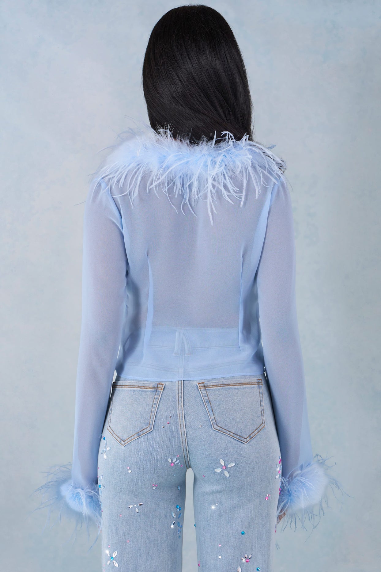 Faux Fur-Trim Sheer Top in Soft Blue
