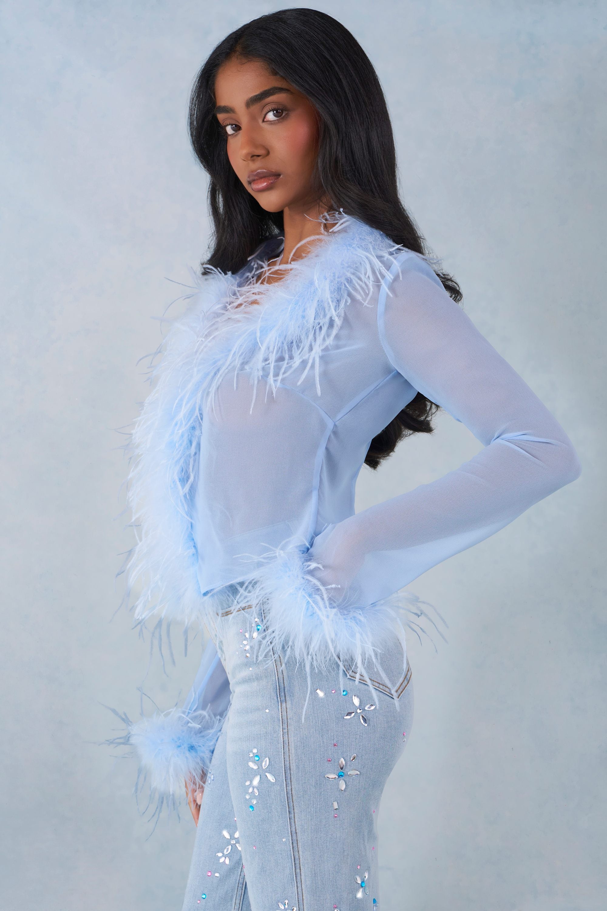 Feather Trim Sheer Top in Soft Blue