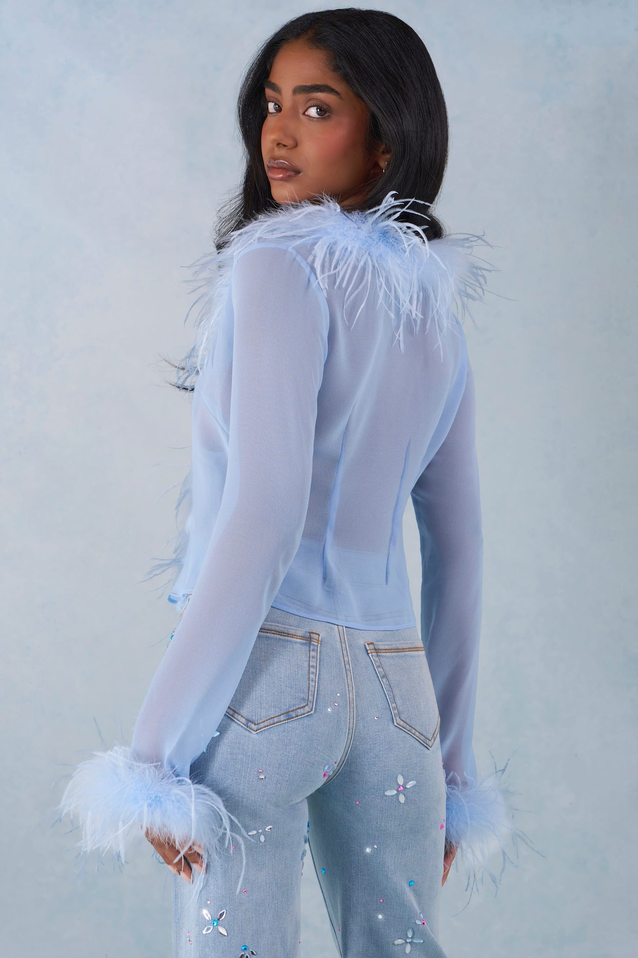 Faux Fur-Trim Sheer Top in Soft Blue