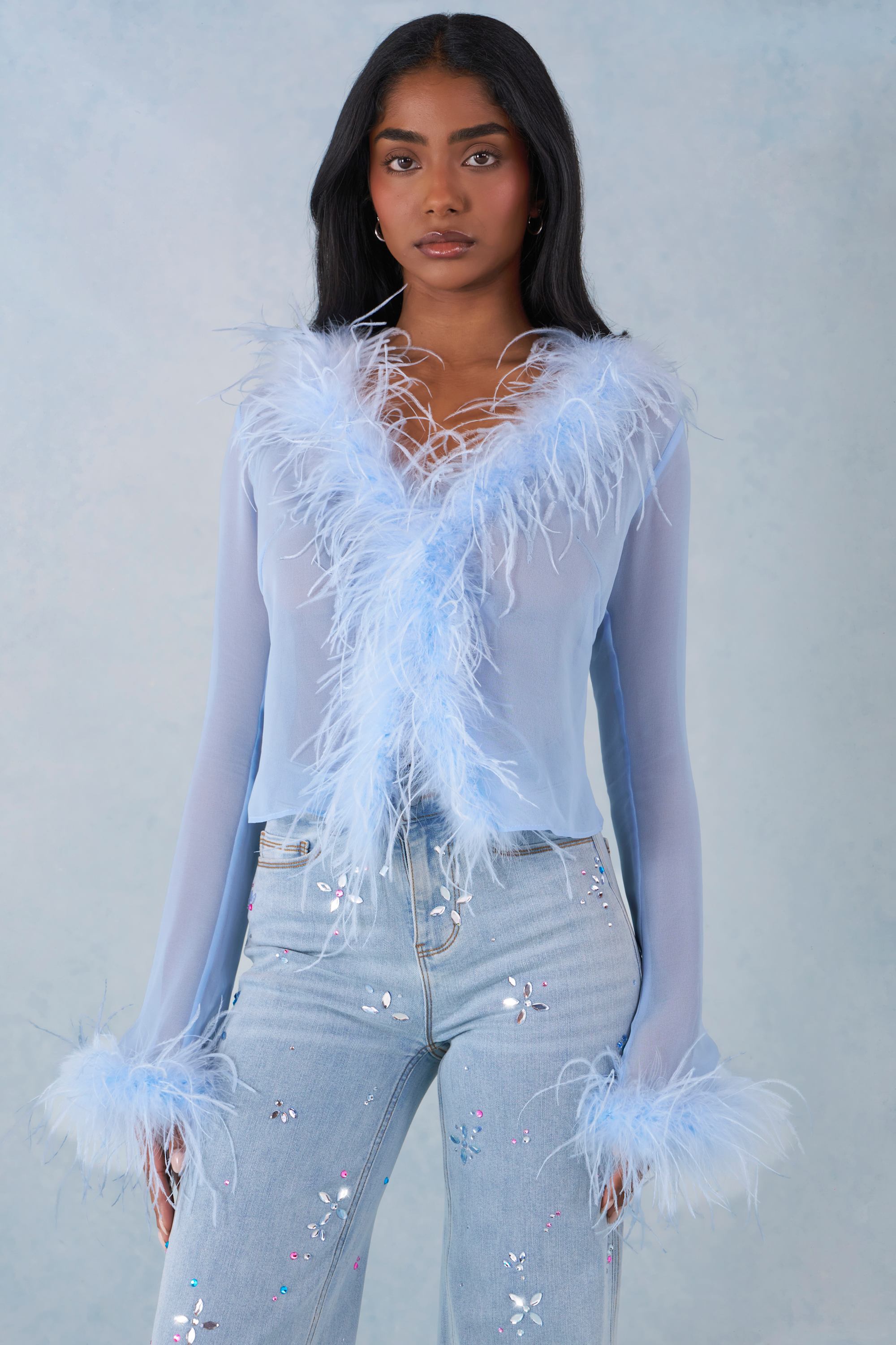 Feather Trim Sheer Top in Soft Blue