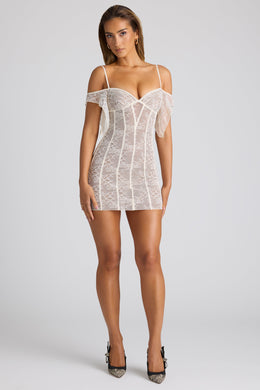 Sheer Lace A-Line Mini Dress in Ivory