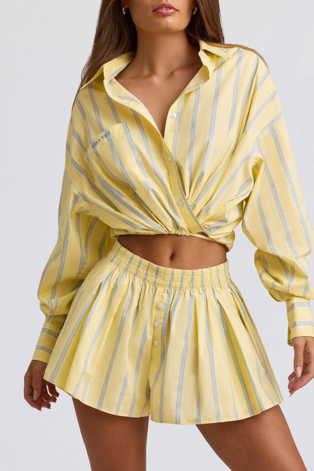 Pleated Cotton-Poplin Shorts in Yellow Stripe